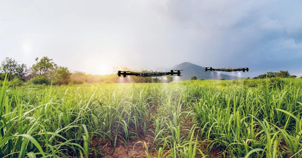 Commercial applications of drones